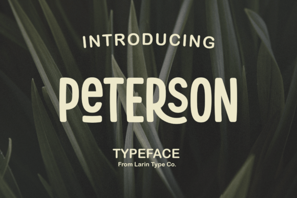 Peterson: A Creative Sans Serif for Modern and Vintage Designs