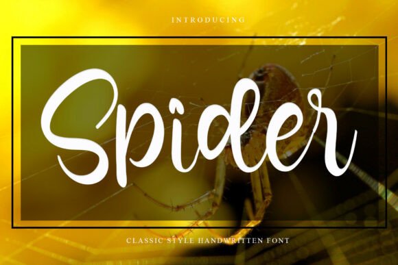 Spider Font: Weaving Elegance into Every Design Project