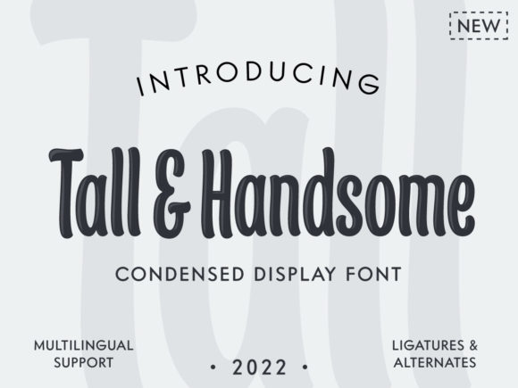 Tall & Handsome: The Display Font for Modern Branding
